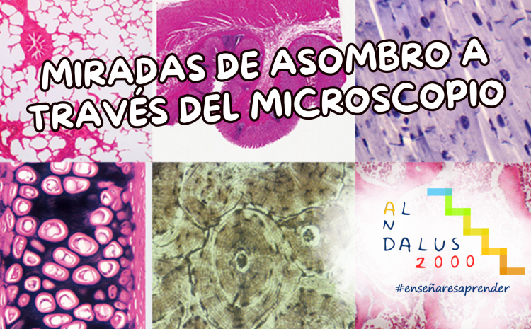 La ciencia en manos de infantil